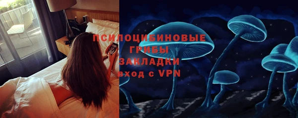 мяу мяу кристалл Алексин