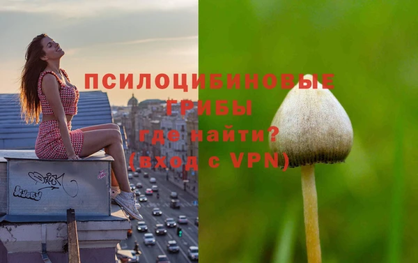 мяу мяу кристалл Алексин