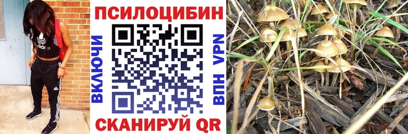 Псилоцибиновые грибы мухоморы  MEGA зеркало  Россошь 